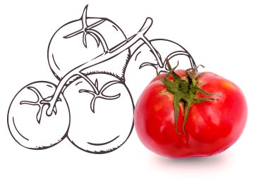 bgtomate bgtomate